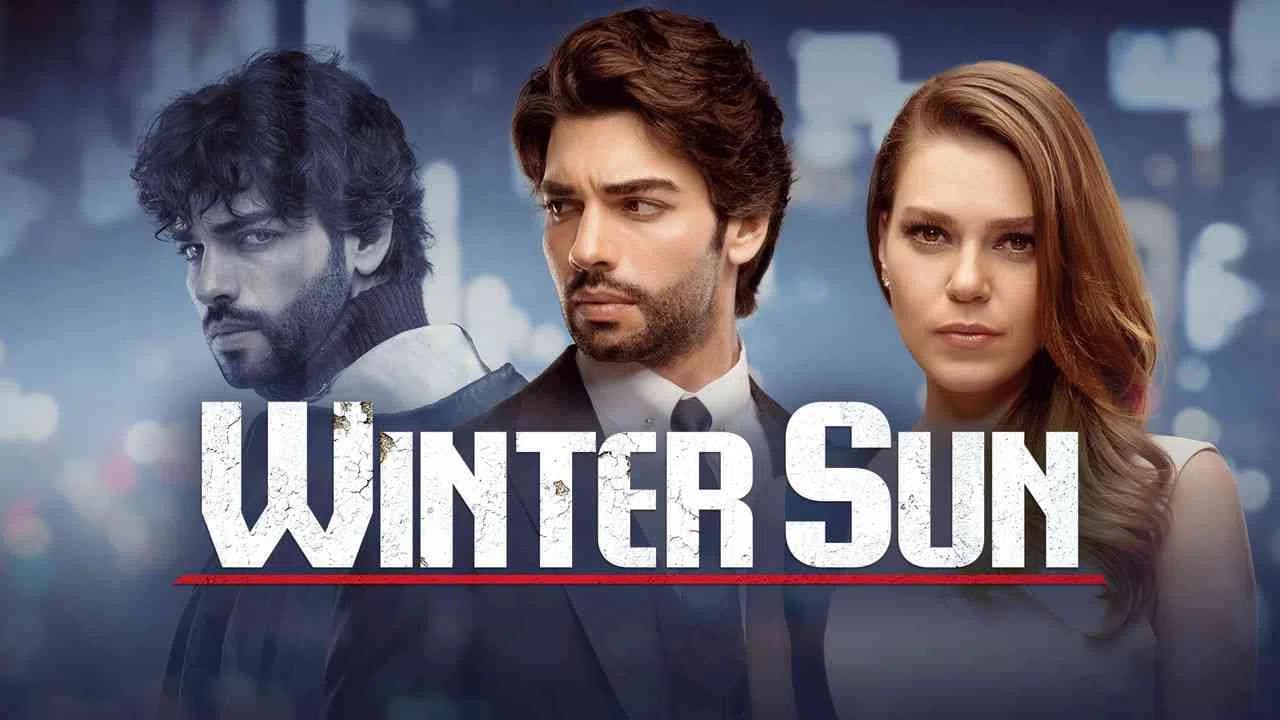 Kış Güneşi / Winter Sun